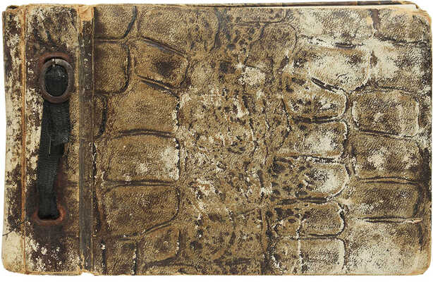 Семья Запашных. [Фотоальбом]. Б.м., б.г.